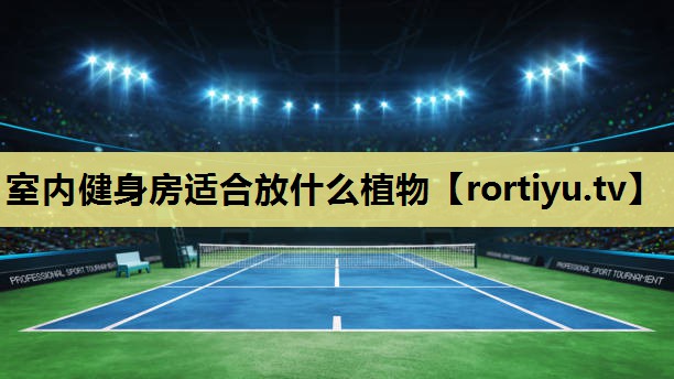 室内健身房适合放什么植物